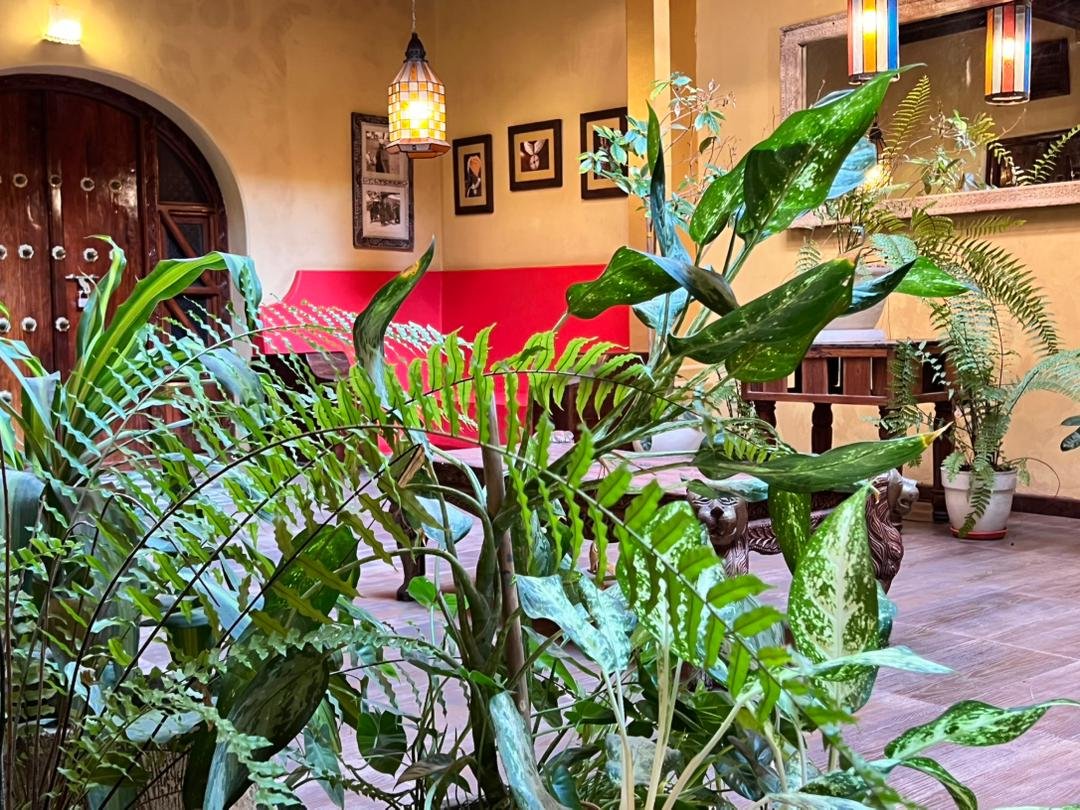 WhatsApp Image 2026-01-30 at 6.29.48 PM (1)