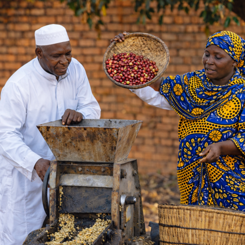 ChatGPT Image Dec 23, 2025 at 08_36_09 PM