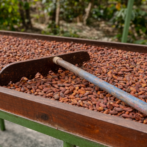 ChatGPT Image Dec 24, 2025 at 11_57_46 PM