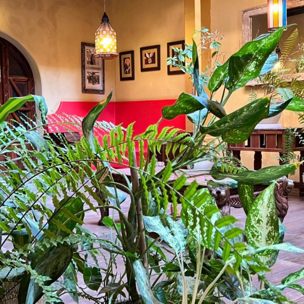 WhatsApp Image 2026-01-30 at 6.29.48 PM (1)