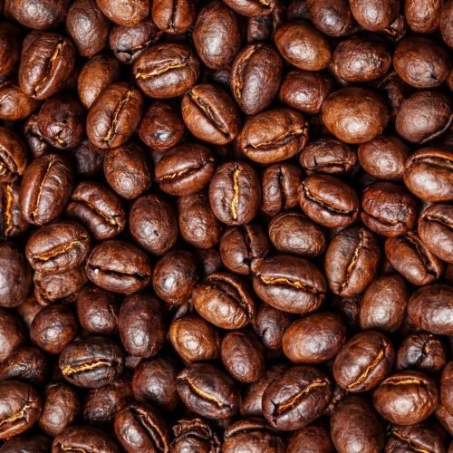 WhatsApp Image 2026-01-30 at 6.29.49 PM